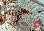Standbild USA Land Fair 1950 s United States USA, 1958, aus Sekunde 17 historischem Filmmaterial Videoclip 65675070277