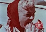 Standbild Drive-in-Restaurant Florida United States USA, 1958, aus Sekunde 21 historischem Filmmaterial Videoclip 65675070279