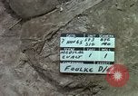 Standbild Evakuierung von Verletzten Vietnam, 1965, aus Sekunde 3 historischem Filmmaterial Videoclip 65675070291