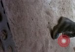 Standbild Evakuierung von Verletzten Vietnam, 1965, aus Sekunde 34 historischem Filmmaterial Videoclip 65675070291