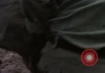 Standbild Evakuierung von Verletzten Vietnam, 1965, aus Sekunde 31 historischem Filmmaterial Videoclip 65675070296