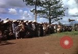 Standbild vietnamesischen Dorfbewohner Vietnam, 1965, aus Sekunde 38 historischem Filmmaterial Videoclip 65675070297