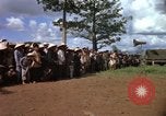 Standbild vietnamesischen Dorfbewohner Vietnam, 1965, aus Sekunde 39 historischem Filmmaterial Videoclip 65675070297