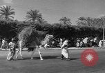 Immagine di Civili Suk El Giuma Libia, 1954, secondo 4 filmato di repertorio 65675070300