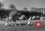 Immagine di Civili Suk El Giuma Libia, 1954, secondo 5 filmato di repertorio 65675070300