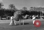 Immagine di Civili Suk El Giuma Libia, 1954, secondo 6 filmato di repertorio 65675070300