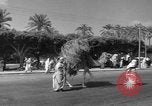 Immagine di Civili Suk El Giuma Libia, 1954, secondo 7 filmato di repertorio 65675070300