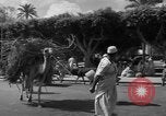 Immagine di Civili Suk El Giuma Libia, 1954, secondo 58 filmato di repertorio 65675070300