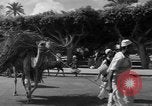 Immagine di Civili Suk El Giuma Libia, 1954, secondo 59 filmato di repertorio 65675070300