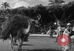 Immagine di Civili Suk El Giuma Libia, 1954, secondo 60 filmato di repertorio 65675070300