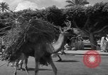 Immagine di Civili Suk El Giuma Libia, 1954, secondo 61 filmato di repertorio 65675070300