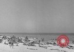 Standbild Strand Libyen, 1954, aus Sekunde 4 historischem Filmmaterial Videoclip 65675070301