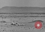 Immagine di F-86 Sabre Libia, 1954, secondo 18 filmato di repertorio 65675070302