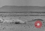 Immagine di F-86 Sabre Libia, 1954, secondo 19 filmato di repertorio 65675070302