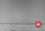 Immagine di F-86 Sabre Libia, 1954, secondo 60 filmato di repertorio 65675070302