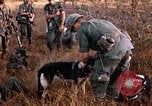 Image les soldats de l'armée américaine reposant et en patrouille au Vietnam le Vietnam du Sud, 1967, de la seconde 25 séquences d'archives historiques vidéo 65675070315
