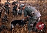 Image les soldats de l'armée américaine reposant et en patrouille au Vietnam le Vietnam du Sud, 1967, de la seconde 27 séquences d'archives historiques vidéo 65675070315