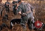Image les soldats de l'armée américaine reposant et en patrouille au Vietnam le Vietnam du Sud, 1967, de la seconde 29 séquences d'archives historiques vidéo 65675070315