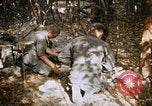 Image of American soldiers South Vietnam, 1967, second 12 stock footage video 65675070317