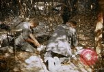 Image of American soldiers South Vietnam, 1967, second 14 stock footage video 65675070317