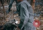 Image of American soldiers South Vietnam, 1967, second 20 stock footage video 65675070317