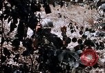 Image of American soldiers South Vietnam, 1967, second 8 stock footage video 65675070318