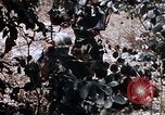 Image of American soldiers South Vietnam, 1967, second 9 stock footage video 65675070318