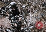 Image of American soldiers South Vietnam, 1967, second 12 stock footage video 65675070318
