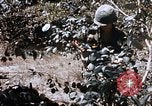Image of American soldiers South Vietnam, 1967, second 14 stock footage video 65675070318