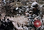 Image of American soldiers South Vietnam, 1967, second 15 stock footage video 65675070318