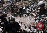 Image of American soldiers South Vietnam, 1967, second 16 stock footage video 65675070318
