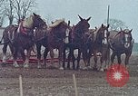 Image of Middle class Americans in the early 1970s United States USA, 1974, second 5 stock footage video 65675070321