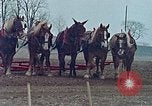 Image of Middle class Americans in the early 1970s United States USA, 1974, second 7 stock footage video 65675070321