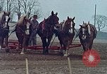 Image of Middle class Americans in the early 1970s United States USA, 1974, second 8 stock footage video 65675070321
