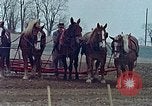 Image of Middle class Americans in the early 1970s United States USA, 1974, second 9 stock footage video 65675070321
