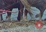 Image of Middle class Americans in the early 1970s United States USA, 1974, second 10 stock footage video 65675070321