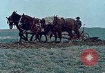 Image of Middle class Americans in the early 1970s United States USA, 1974, second 14 stock footage video 65675070321
