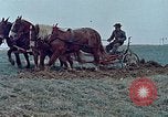 Image of Middle class Americans in the early 1970s United States USA, 1974, second 16 stock footage video 65675070321