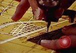 Image of U.S. Decennial Census United States USA, 1970, second 55 stock footage video 65675070323