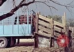 Image of Bureau of the Census United States USA, 1970, second 62 stock footage video 65675070326
