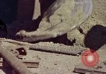 Image of Major commercial building construction United States USA, 1970, second 45 stock footage video 65675070330