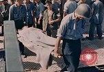 Image of American wounded France, 1945, second 6 stock footage video 65675070335