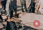 Image of American wounded France, 1945, second 11 stock footage video 65675070335