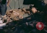 Image of American wounded France, 1945, second 22 stock footage video 65675070335