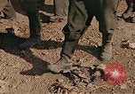 Image of German prisoners France, 1945, second 9 stock footage video 65675070336
