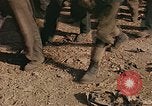 Image of German prisoners France, 1945, second 12 stock footage video 65675070336