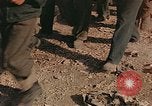 Image of German prisoners France, 1945, second 13 stock footage video 65675070336