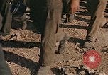Image of German prisoners France, 1945, second 15 stock footage video 65675070336