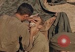 Image of German prisoners France, 1945, second 61 stock footage video 65675070336