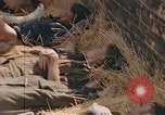 Image of wounded soldiers France, 1945, second 42 stock footage video 65675070337